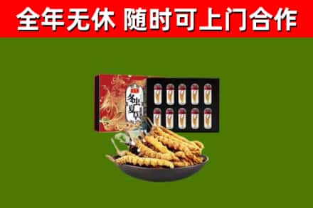 平鲁区回收冬虫夏草价格